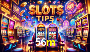 Programa VIP 56m